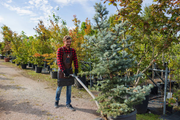 Best Leaf Removal  in Geneva, WA